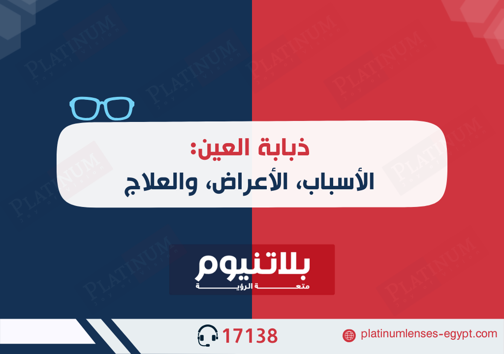 ذبابة العين: الأسباب، الأعراض، والعلاج